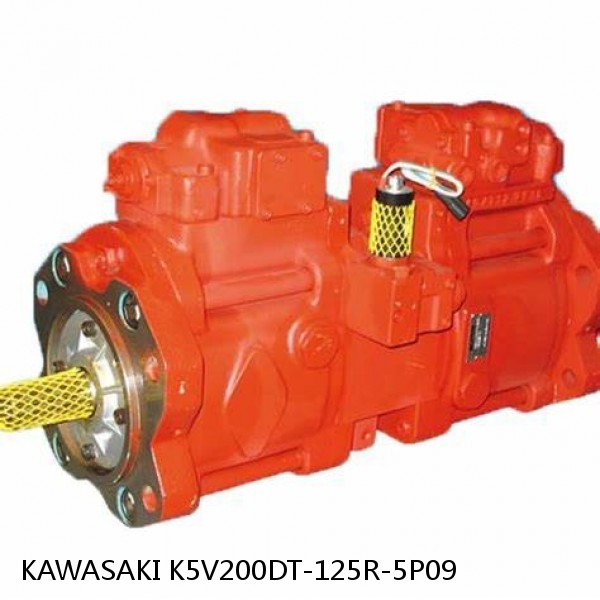 K5V200DT-125R-5P09 KAWASAKI K5V HYDRAULIC PUMP