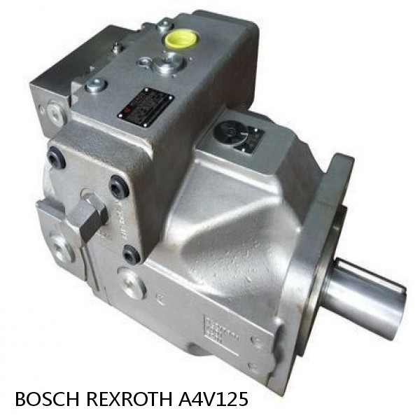 A4V125 BOSCH REXROTH A4V VARIABLE PUMPS #1 small image